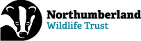NWT logo 2022 web small.png