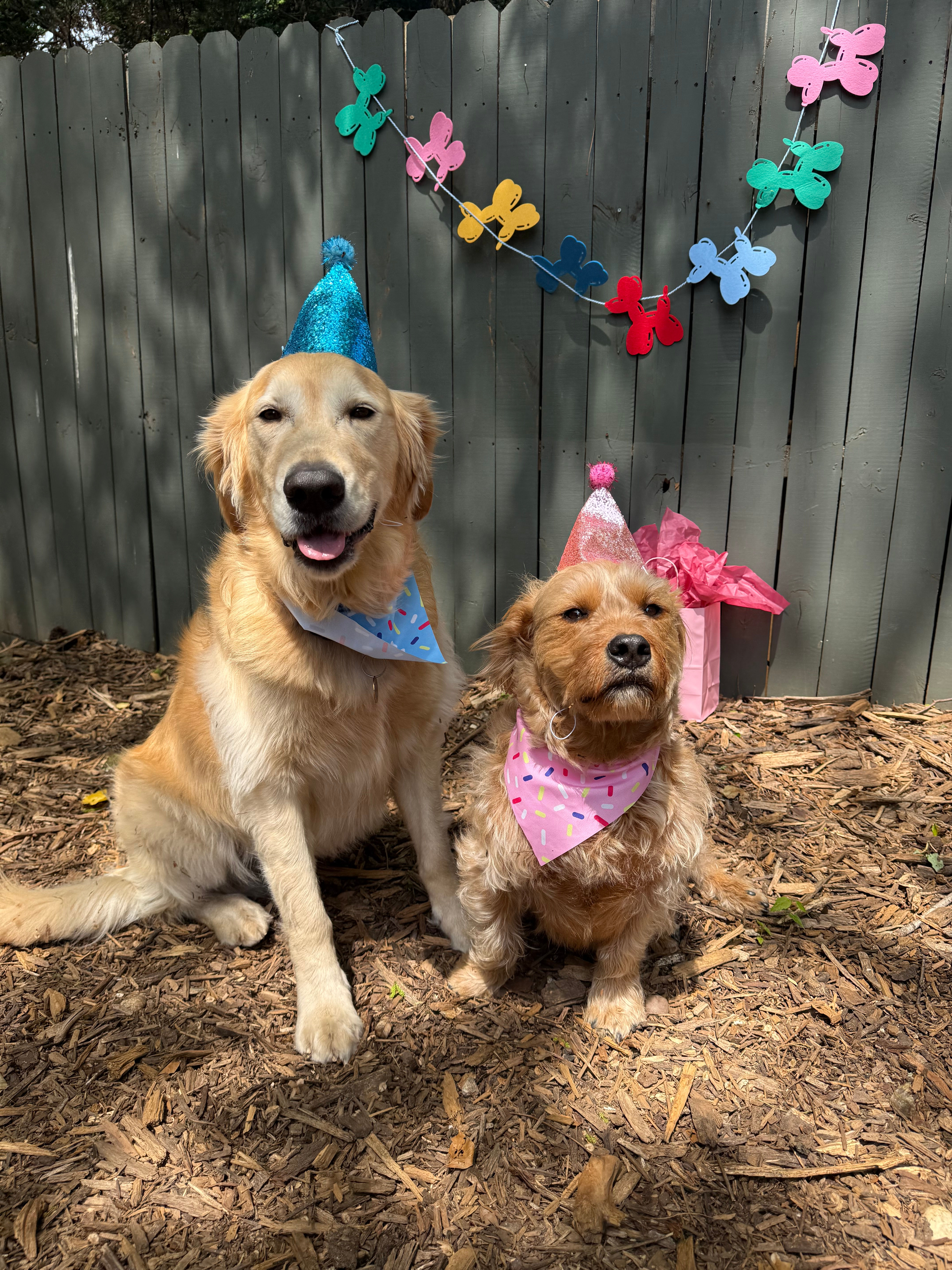 Birthday Party Package