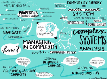 Managing in Complexity
