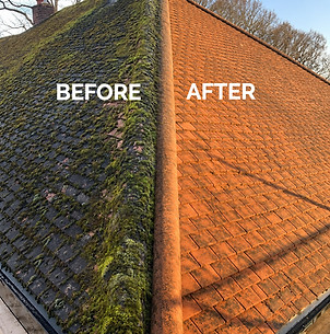 roof cleaning before and after
