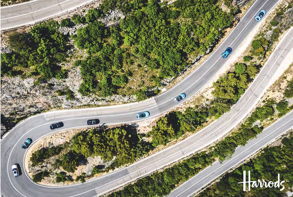 Untitled design (65).png