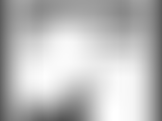 Introducing The Essential Ranger