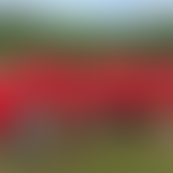 Union County Fire Department Shines at Charity Softball Tournament