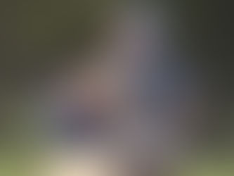 Hayesville Yellow Jackets Dominate Murphy Bulldogs in 17-5 Rout