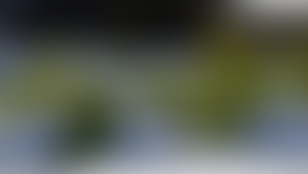 Even With Snow on the Ground, Gardeners in North Georgia and Western North Carolina Find Ways to Get a Head Start on Spring