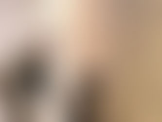 Clay County K-9 Team Achieves National Certification