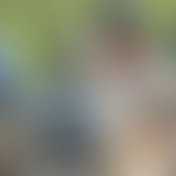 Hayesville Yellow Jackets Sting Raptors 8-4, Advance in NCHSAA Playoffs