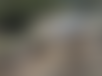 Helene legislation could help rebuild more than western NC