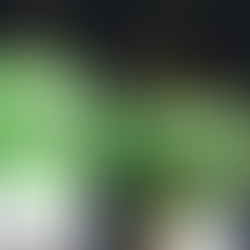 Leonard’s Two Homers Lift Stripers to 4-1 Victory in Delayed Durham Finale