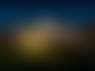 Christmas at Biltmore welcomes visitors as western NC road to recovery continues