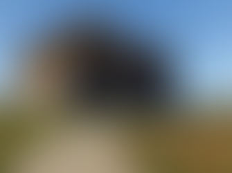 Fort Dobbs State Historic Site Receives $114,500 from North Carolina Land and Water Fund