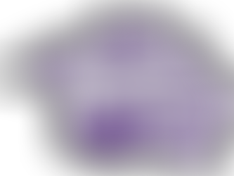 YHC President Wells featured in James Magazine