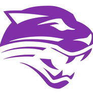 Union County Falls to Stephens County in Tight 1-0 Playoff Battle