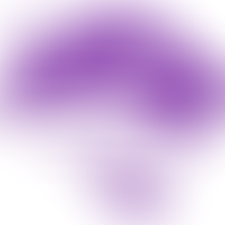 Union County Falls to Stephens County in Tight 1-0 Playoff Battle