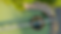 NZ image - website.png