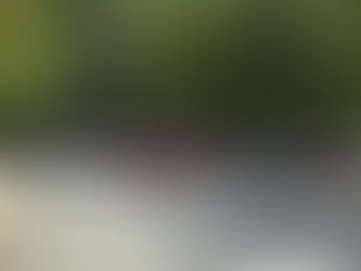 2024 Church of the Holy Family Picnic