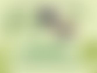 St. Patrick's Dance Party!