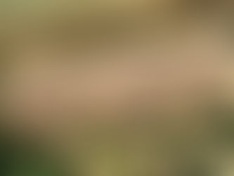 Prayer Garden Dedication