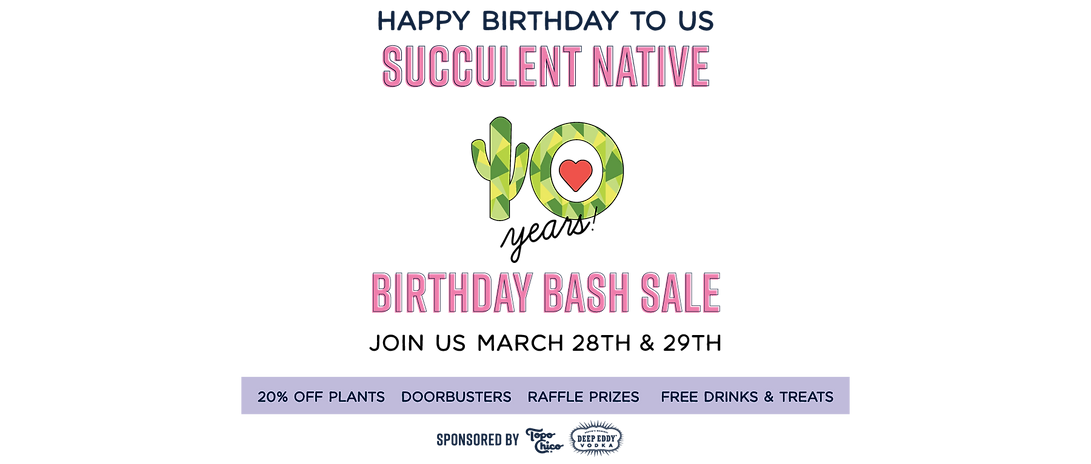 bday-bash-web-banner.png
