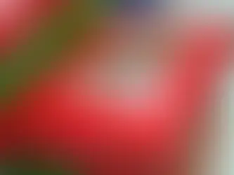 OCC Prep Party 10/16