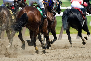 Synthetic Track.jpg