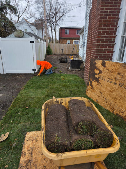 Structural Tree Removal, Stump Grinding & Site Restoration