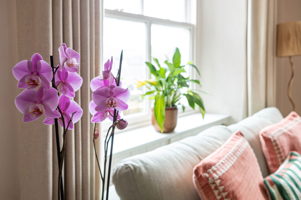 kendal_cottage-18