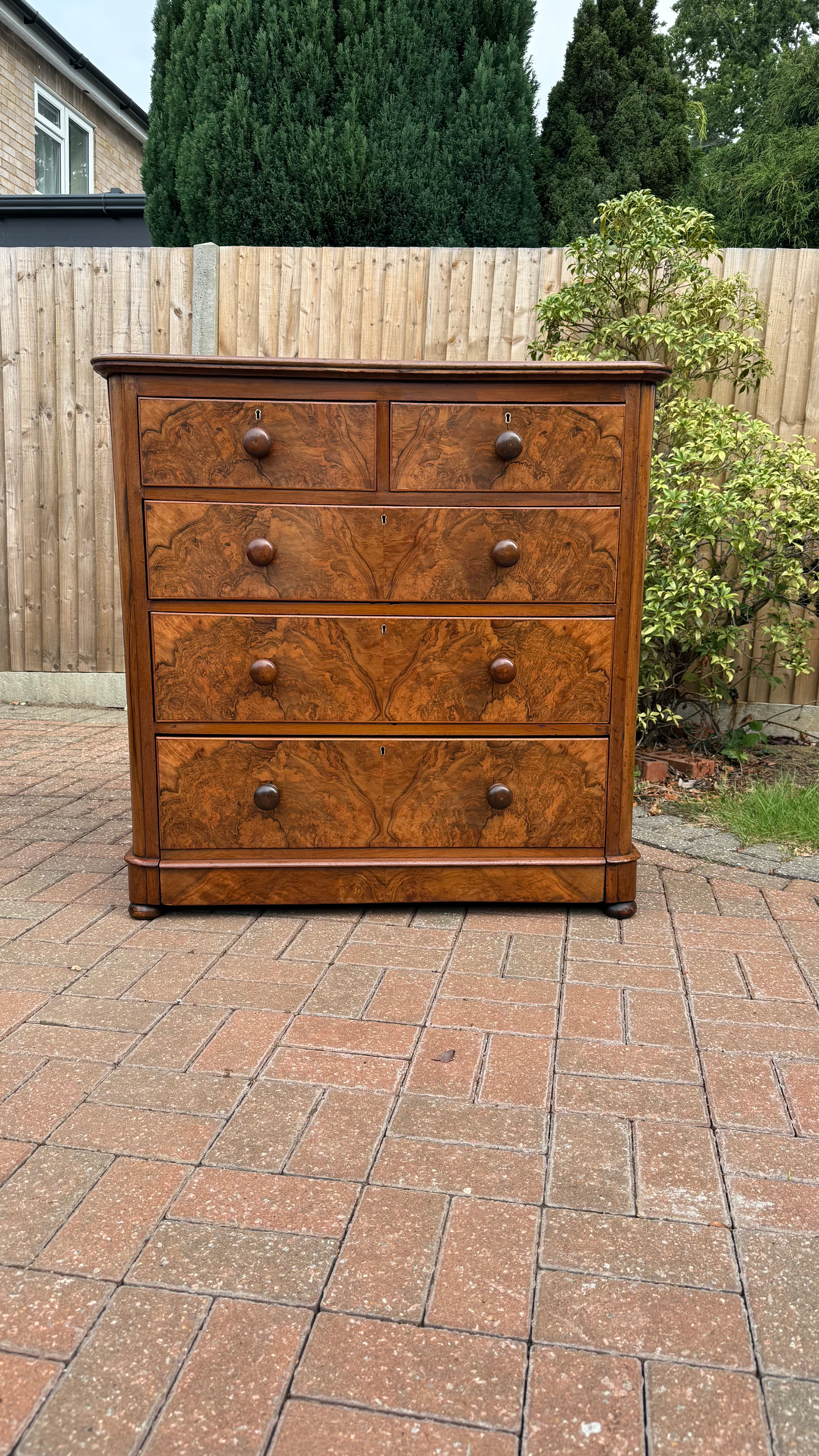 Fully Restored Victorian Burr Walnut Chest of Drawers