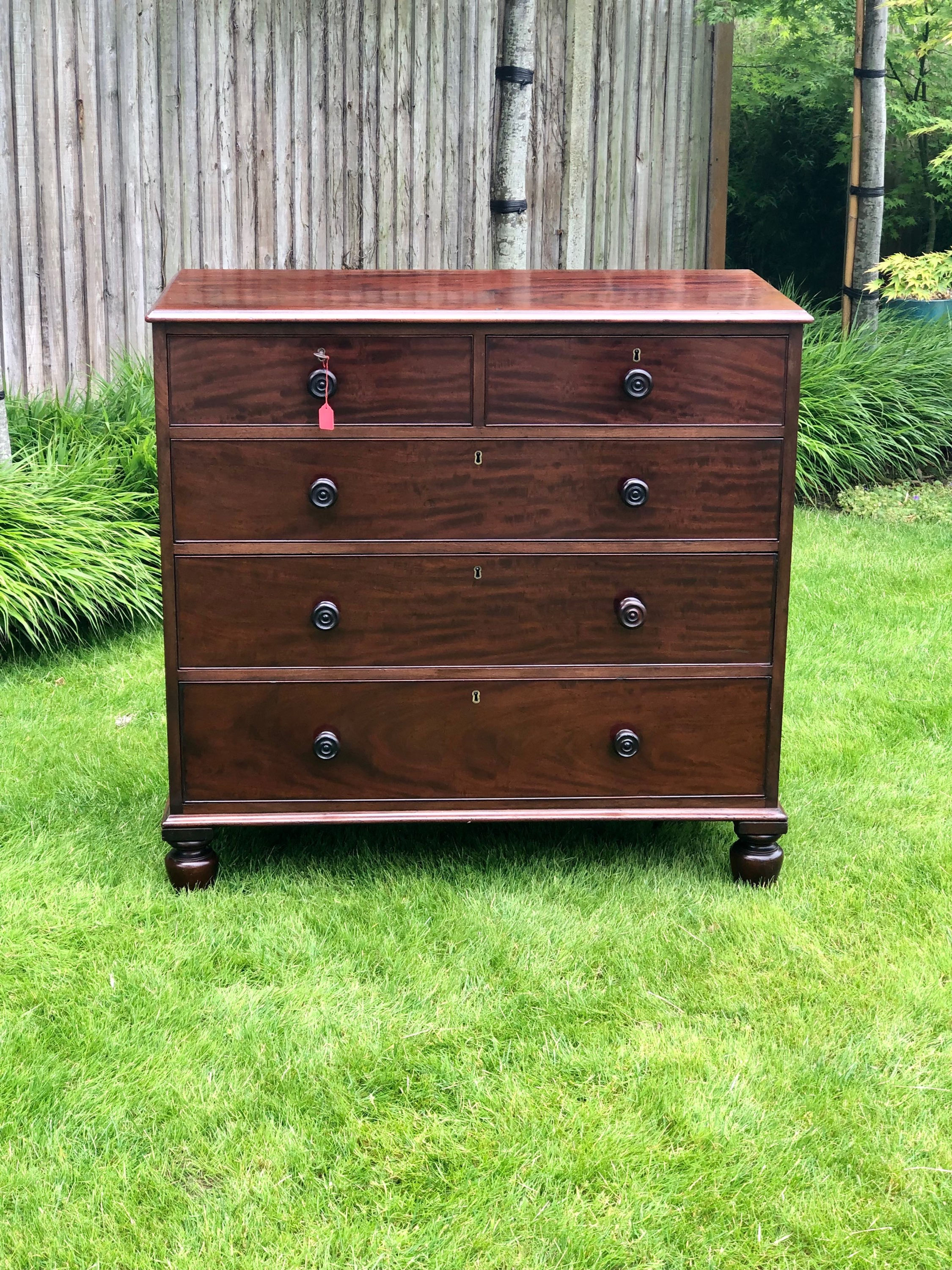 Late Regency Mahogany Chest of Drawers 