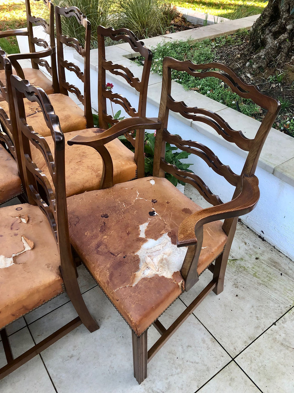 Thumbnail: 10 (8+2 carvers) late Victorian Dining Chairs 
