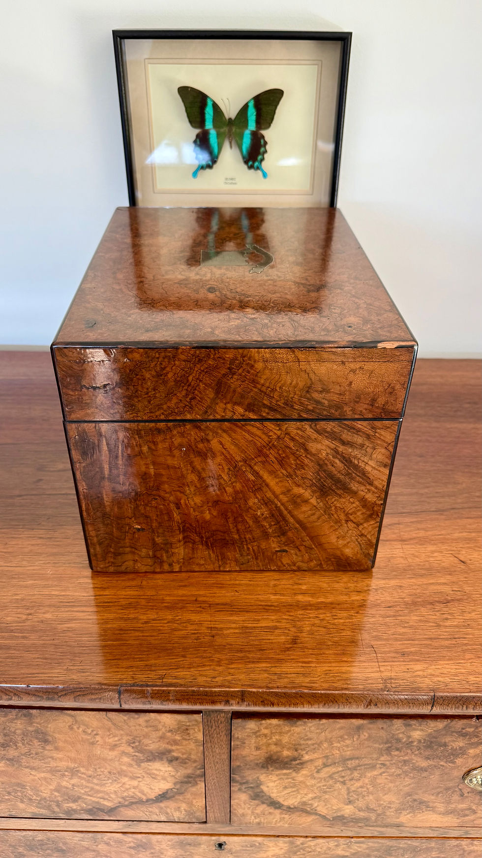 Thumbnail: Fully Restored Burr Walnut Ladies Vanity Box