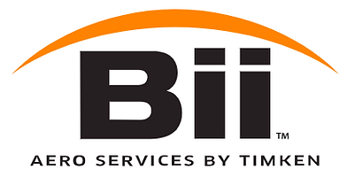 bearinginspectioninc_com.png