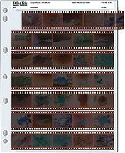 PrintFile company Archival Sheet