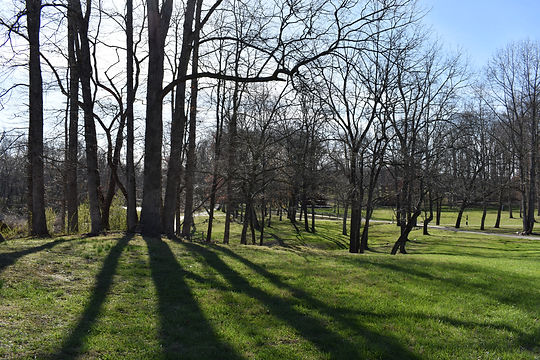 DSC_0109.JPG