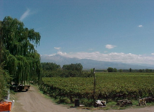 Terreno 2