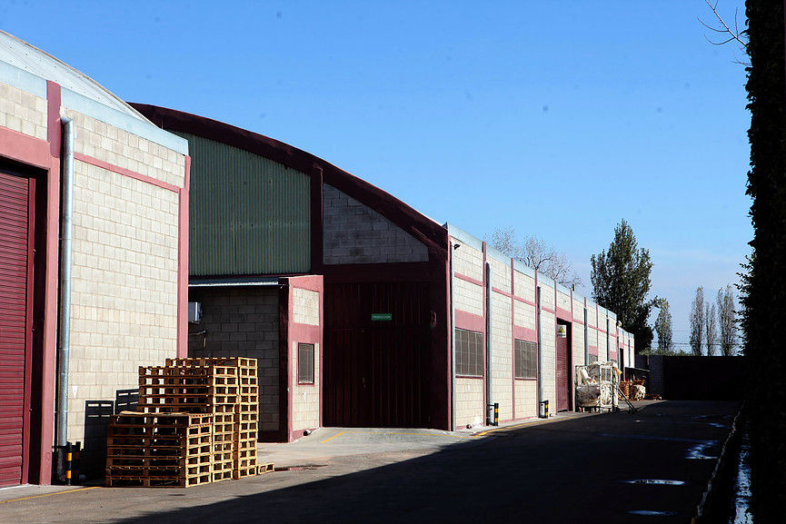 Bodegas