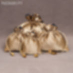 Gina Collection Drawstring Pouch