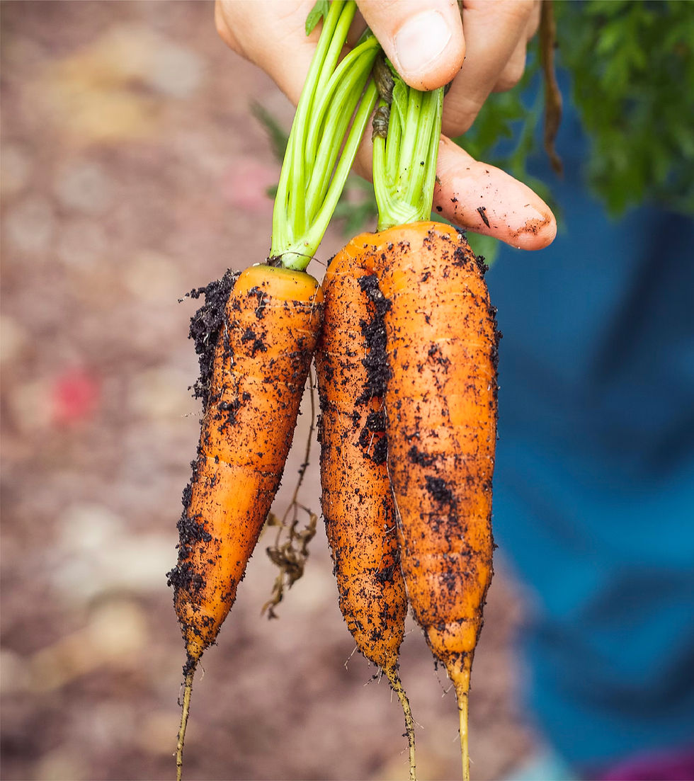 Foray Foodies Web Gorseller-14.jpg