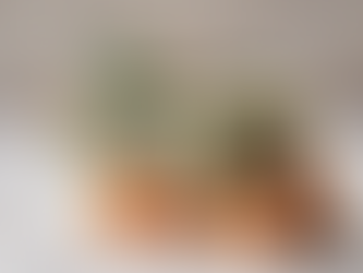 Homemade Goatsmilk Soap: A Holistic Utah Farm's Craft