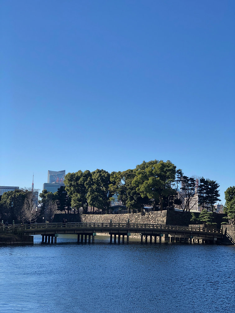 IMG_6909.JPEG
