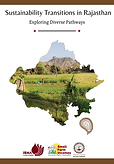 Sustainability Transitions in Rajasthan(1).png
