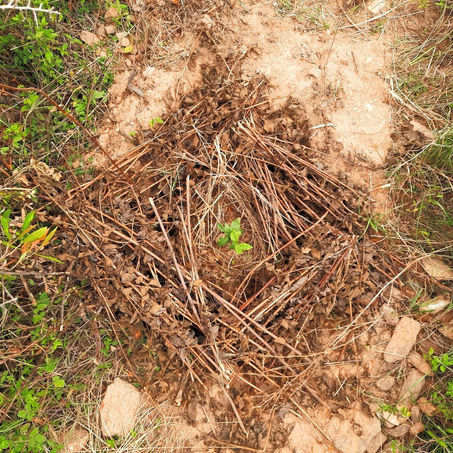 Understanding land, livelihood and labour - my internship experience in rural Karnataka