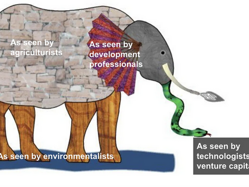 Dancing with the Elephant: My MST2023 Experience