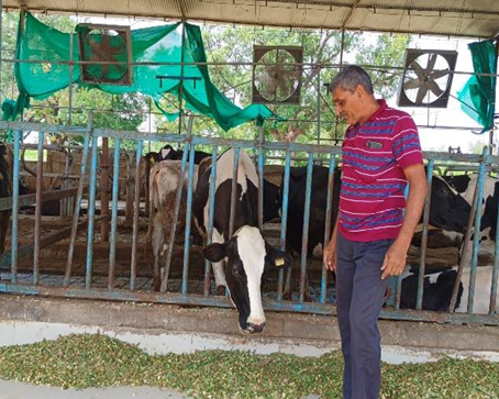 Innovating for ecosystem wellbeing: Creation of waste to wealth farm models