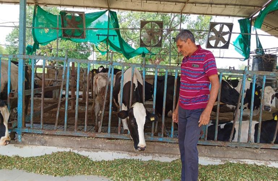 Innovating for ecosystem wellbeing: Creation of waste to wealth farm models
