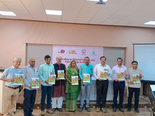 चरैवेति चरैवेति अर्थात चलते रहो , चलते रहो…