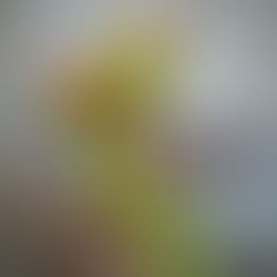 Langsam leben lernen