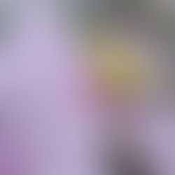 Die eigene Wahrheit leben