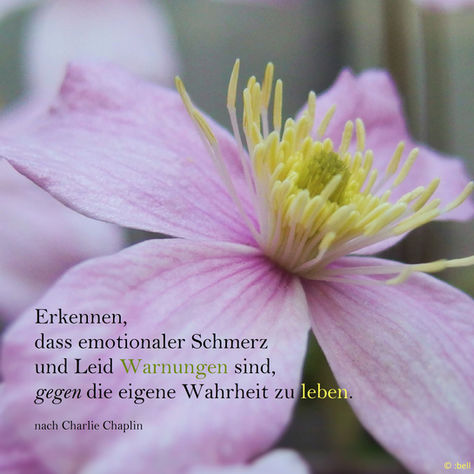 Die eigene Wahrheit leben