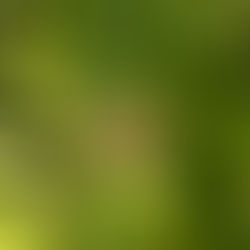 Mit dem Herzen denken